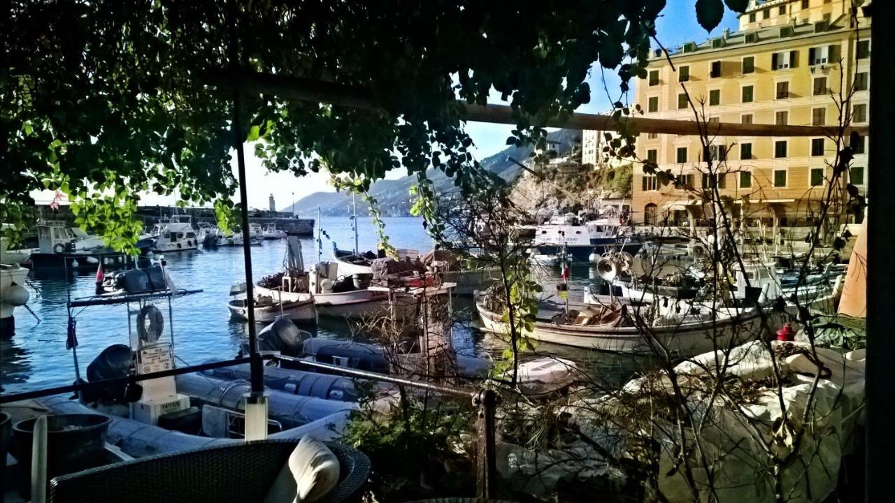 Golfo Paradiso La Casa Del Comandante Apartment Camogli